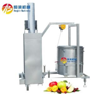 Buy cheap Mango Pineapple Tomato Blueberry Juicer with 15%-20% Higher Yield and Extraction Rate product