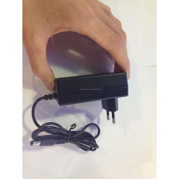 Electric AC DC Output Type 12V 1A 2A Class 2 Power Supply Adapter for Steady Output