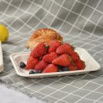 Food Fruit Vegetable Sugarcane Compostable Serving Tableware Biodegradable Meat