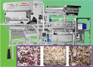 China Dehydrated Onion Color Sorter Machine 1.5 T/H Intelligent Interconnection on sale