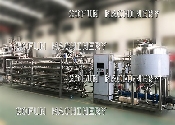Food Grade SS304 Complete Fresh Tomato Processing Line 2000t/D