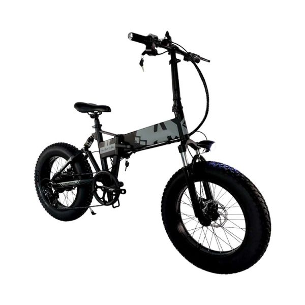 Aluminum 20 Inch 750w Full Suspension Fat Tire Ebike