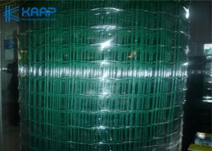 China Electro Galvanising Welded Wire Mesh PE Coated ISO9001 SGS Certification on sale