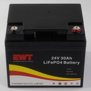 Buy cheap Rechargeable Lithium Iron Phosphate Battery 24V 30AH LiFepo4 Battery Cell product