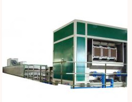 Free Moulding Pulp Egg Tray Machine Heavy Weight High Effective