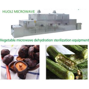 Adjustable Speed Microwave Drying Machine , nuts Drying Equipment
