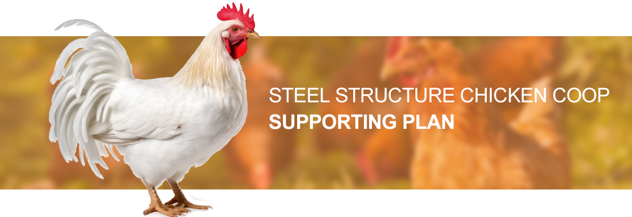 Single Steel Sheet Roofing Wall Steel Structure Layer Chicken House for Poultry Shed