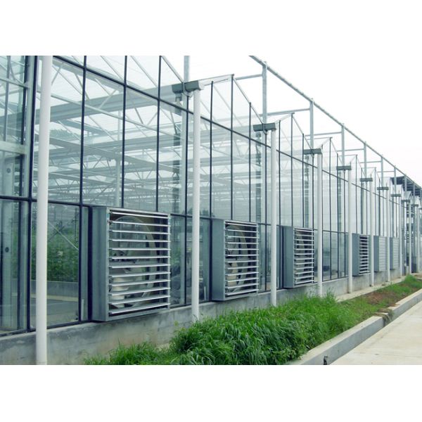 Bay Width 4 / 6m Gothic Arch Greenhouse , Garden Galvanized Steel Greenhouse