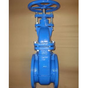 BS3464 PN10 GG25 cast iron gate valve