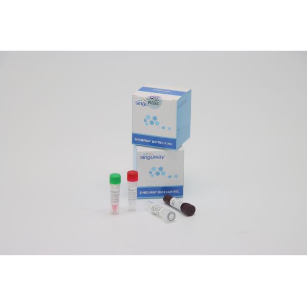 Fast RT PCR Test Kit Quantitative Fluorescent For HFMD Virus Testing