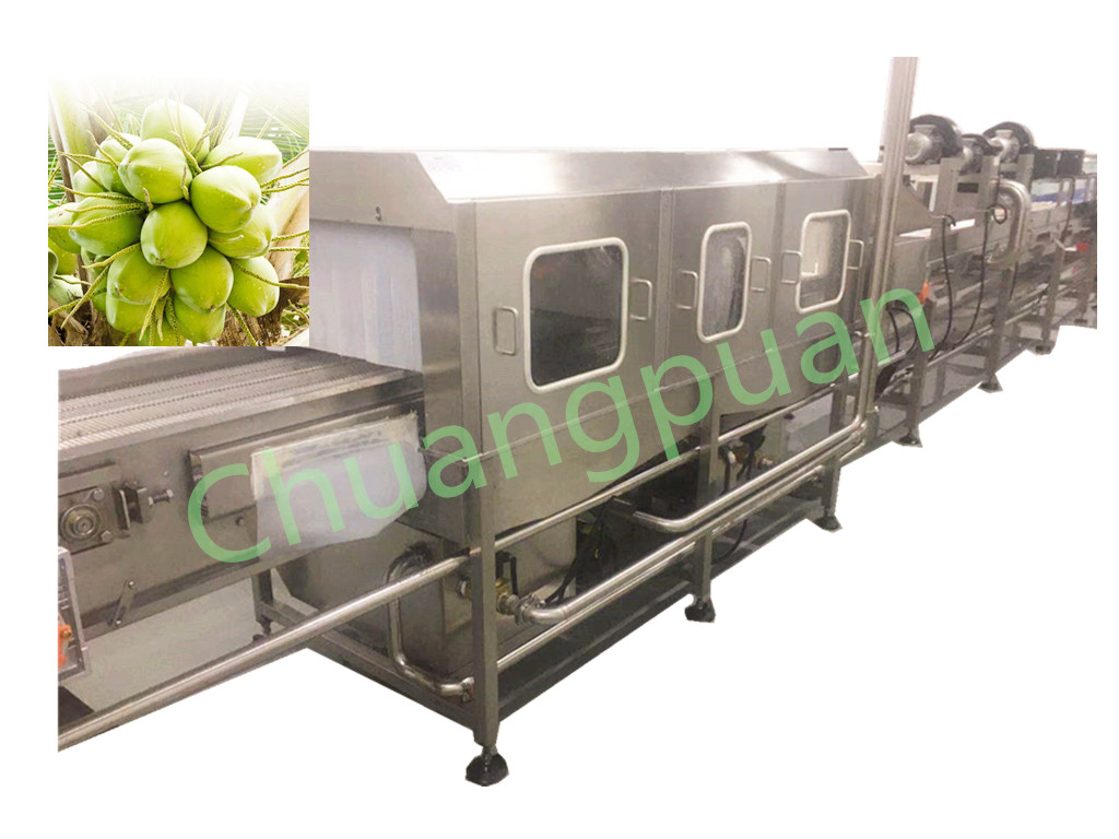 2-9T/H Filling Speed Coconut Processing Machine
