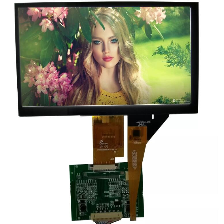 Led Backlight COB Monochrome Monochrome Segment Lcd Display Module