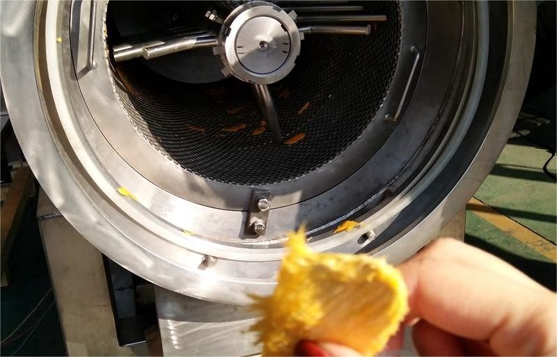 One-Stop Service Customized 1000-30000l/H Mango Processing Line Mango Juice/Sauce/Jam Machine With PLC Mango Pulp Equipment