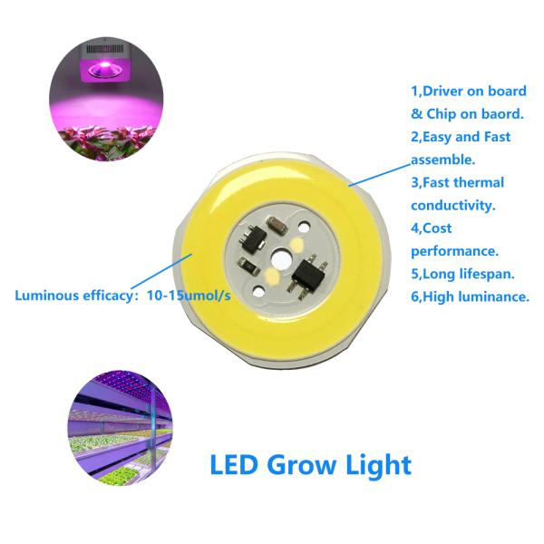 20W AC 220v 380-780nm COB Led Chip For Greenhouse And Led Plant Growing Light