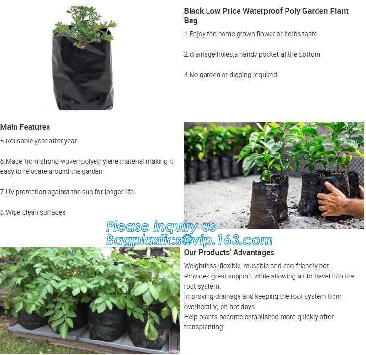 customized waterproof green pe car protector,environmental firendly, car boot liner, reusable, durable,economical,sample