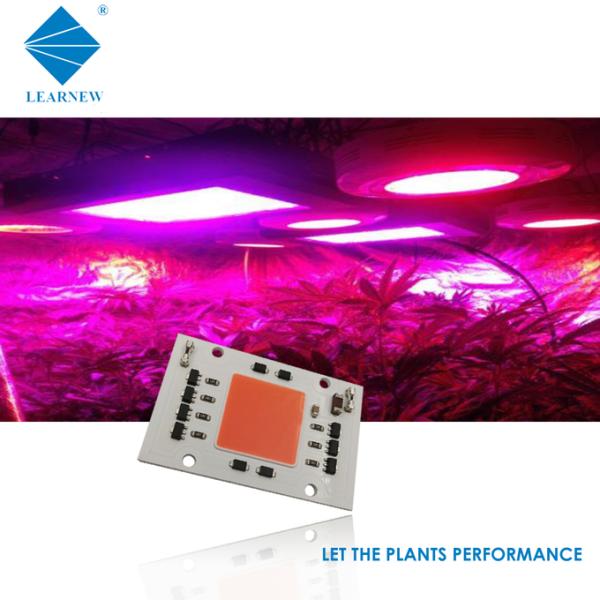 380-780nm Full Spectrum LED Grow Lights 50W With High Efficiency COB LED