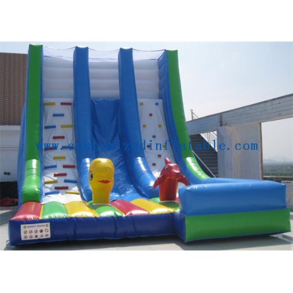 OEM Island Theme Inflatable Water Slides For Teenagers In Graden / Park / Backyard