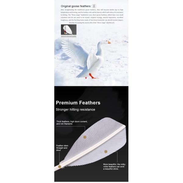 Player Grade Duck Feather Shuttlecock With Small Curvature