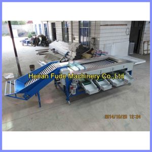 date sorting machine, dates grading machine
