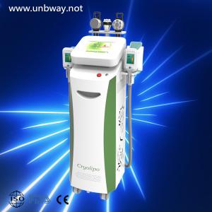 China cryotherapy belly fat loss machine on sale