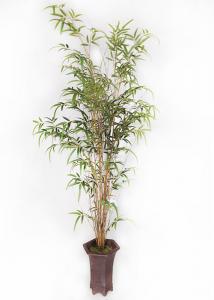 Buy cheap Bamboo Realistic Fake Plants Real Trunk For Home Design Color Change Leaves product