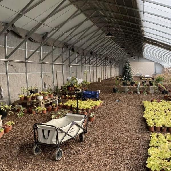 Sunlight Greenhouse Flower Planting Drip Irrigation