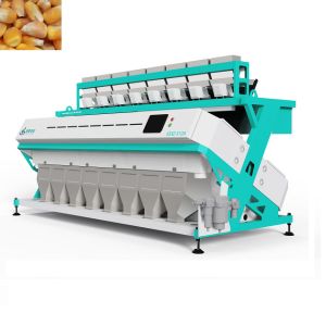 Buy cheap 11T/H-19T/H Pecan Sorting Machine 12 Chutes 768 channels For White Rice Processing product