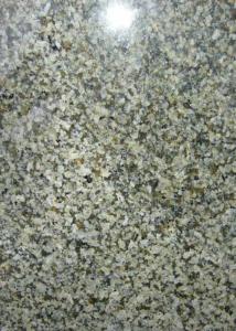 China Alkali Resistance Granite Kitchen Floor Tiles , Polished Granite Floor Tiles on sale