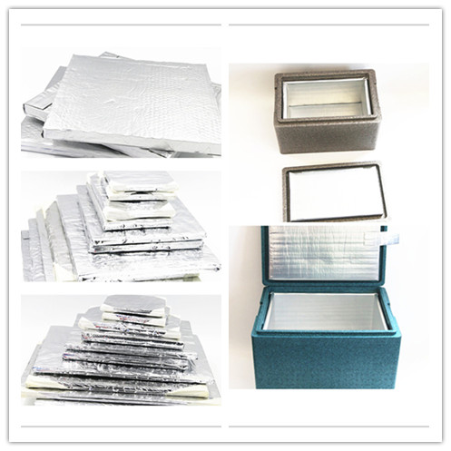 Reusable Cute Beer Cool Bag Ice Packs Pe Plastic Gel Filled Ice Packs