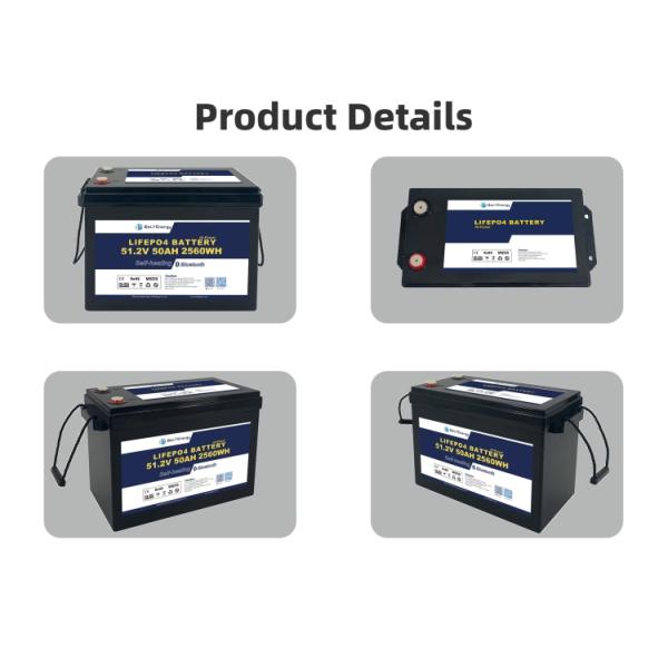 Cost Effective Longevity 51.2V 50Ah Lifepo4 Battery 3000 Cycles For Storage System