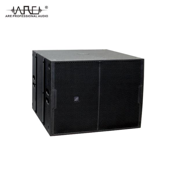 ARE Audio Dual 10" Outdoor Line Array Professional Audio System Passive Line Array for Medium-sized Performances