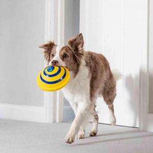Buy cheap Unique Interacts Pet Play Toys Sounder Sounding Disc PVC / PP Material product