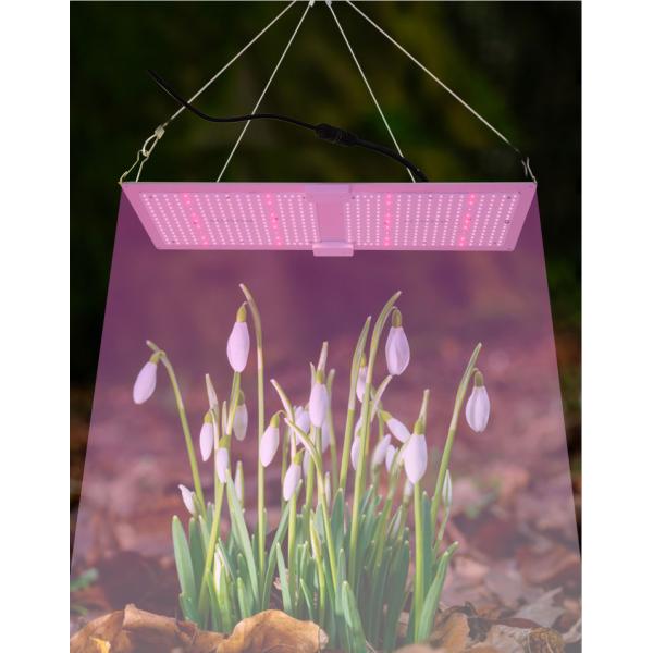 660N Uv Ir Switch 300W Grow Light Quantum Board For Plant