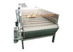 Professional Sterilizer Water Immersion Type Pasteurizing And Cooling Tunnel