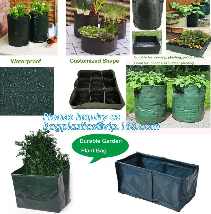 customized waterproof green pe car protector,environmental firendly, car boot liner, reusable, durable,economical,sample