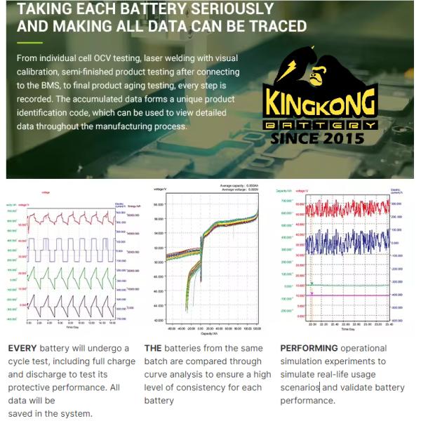 European Warehouse OEM ESS All In One 51.2V LiFePO4 Battery Pack For Batteries