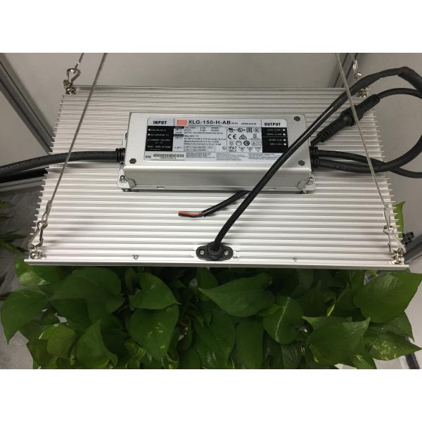 310nm QB288 V2 Quantum Board Led Grow Lights