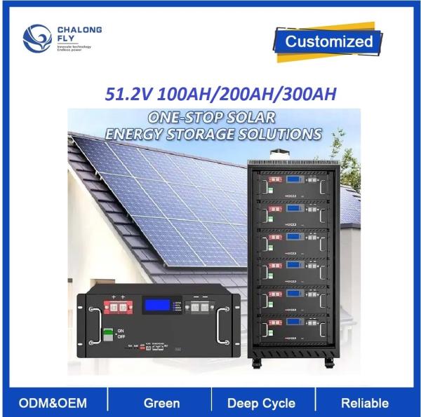 Customized Home Residential Industrial Energy System ESS Rack Mounted LiFePO4