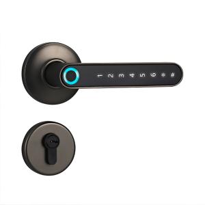 F2 Smart Fingerprint Handle Locks