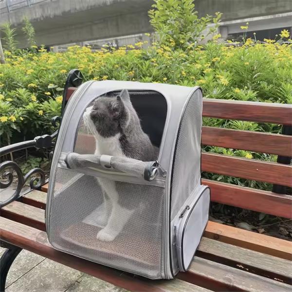 Semi Circle Pet Backpack Carriers Extendable Collapsible Cat Carriers OEM With Safety Straps