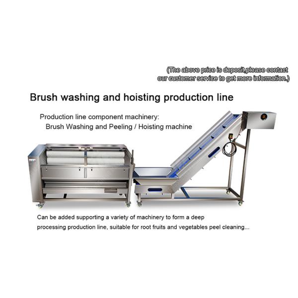 Brush washing and hoisting production line Ginger Potato Carrot Taro Sweet potato Yam processing production Machine
