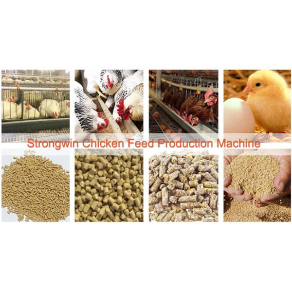 animal feed production line
