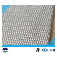 460G Multifilament Woven Geotextile For Separation Basal Reinforcement for sale