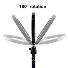 8" Ring Light with Tripod Stand & Mirror for Live Stream/Makeup & YouTube Video