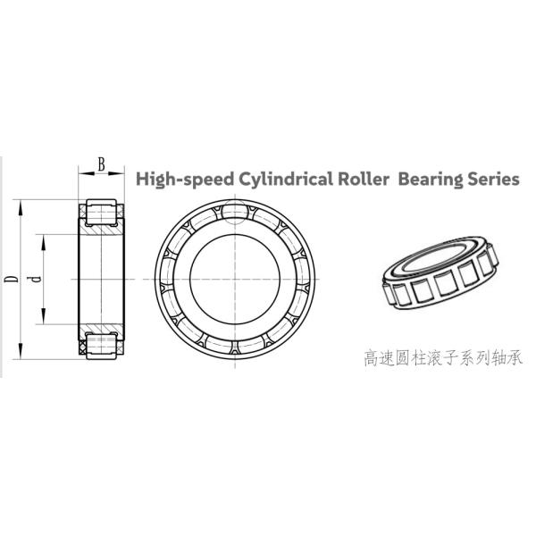 N15 15*24*5mm Super Precision High-speed Cylindrical Roller Bearings Without Outer Ring for Robot Reducers