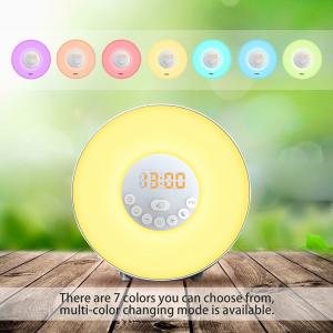 Buy cheap Alarm Clock,Wake Up Light with 6 Nature Sounds, FM Radio, Touch Control and USB Charger product