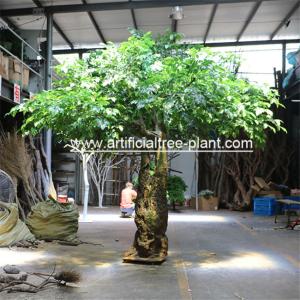 Bodhi Leaves Artificial Ficus Religiosa Tree Fiberglass / Wood Material