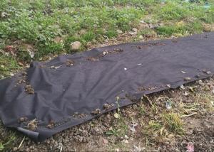 China Black Plant Freeze Protection Fabric , Herbicide Biodegradable Non Woven Fabric on sale