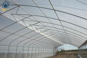 Customizable Tunnel Multi Span Greenhouse 5m - 12m Width With Drip Irrigation System