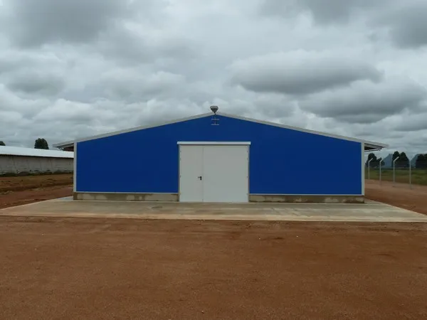 Insulation Panel Prefab Steel Structure Metal Breeding Poultry Chicken House